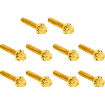 ARLEN NESS Bolt Kit - Cam Cover/Point Cover - Titanium - 12-Point - Gold 300-988