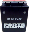 Parts Unlimited Agm Battery - Ytx14ahbs .798l Ctx14ah-Bs