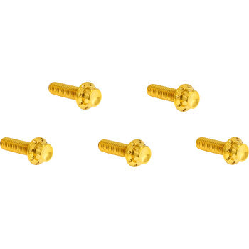 ARLEN NESS Bolt Kit - Derby Cover - 12-Point - Titanium - Gold 300-940