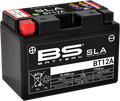 BS BATTERY Battery - BT12A (YT) 300679