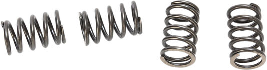 BBR MOTORSPORTS HD Clutch Springs 410-HXR-1005