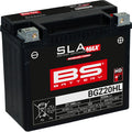 BS BATTERY Battery - BGZ20HL 300934