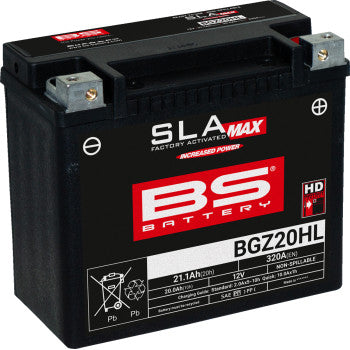 BS BATTERY Battery - BGZ20HL 300939