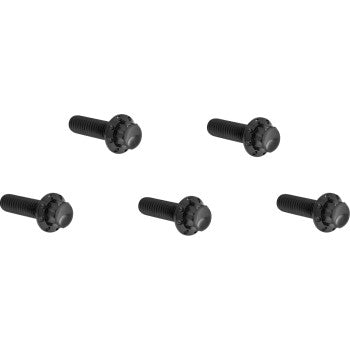 ARLEN NESS Bolt Kit - Derby Cover - 12-Point - Titanium - Black 300-924