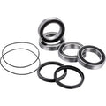 FACTORY LINKS Axle Bearing Kit - Rear - Suzuki ARA-S-005