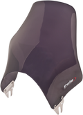 PUIG HI-TECH PARTS Naked Windshield - Dark Smoke - ER5 0869F