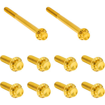 ARLEN NESS Bolt Kit - Transmission Side Cover/Trap Door - 12-Point - Titanium - Gold 300-952