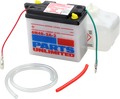 Parts Unlimited Battery - 6n4b-2a-3 6n4b-2a-3-Fp