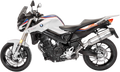 LEOVINCE LV One EVO Slip-On Muffler - BMW 800 - Stainless Steel 14356E