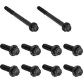 ARLEN NESS Bolt Kit - Transmission Side Cover/Trap Door - 12-Point - Titanium - Black 300-951