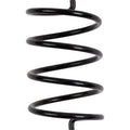 BIKEMAN PERFORMANCE Secondary Clutch Spring 05-BLACKTS