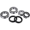 FACTORY LINKS Wheel Bearing Kit - Rear - '11-'24 Ducati FWK-I-004