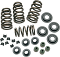 S&S CYCLE Valve Springs - .650" - Twin Cam .650" KIT 106-5909