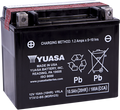 YUASA AGM Battery - YTX12-BS .60 L YUAM3RH2STWN