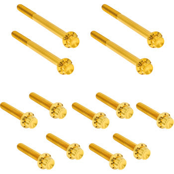 ARLEN NESS Bolt Kit - Primary Cover - Titanium - 12-Point - Softail - Gold 300-931