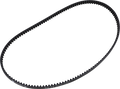 DRAG SPECIALTIES Rear Belt Drive - 134 Tooth BDL SPC-134-24