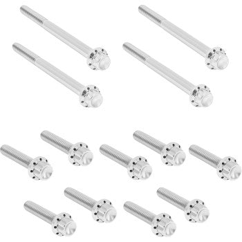 ARLEN NESS Bolt Kit - Primary Cover - Titanium - 12-Point - FLT - Polished 300-926