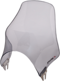 PUIG HI-TECH PARTS Naked Windshield - Smoke - ER5 0869H