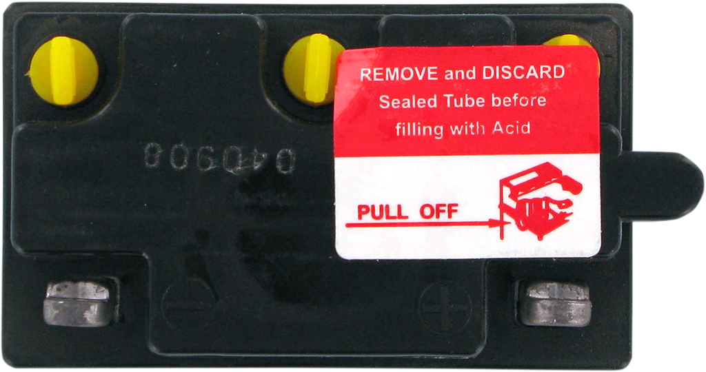 Parts Unlimited Conventional Battery 6n6-3b-1