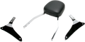 COBRA Sissy Bar - Standard - VN 1700 02-5465