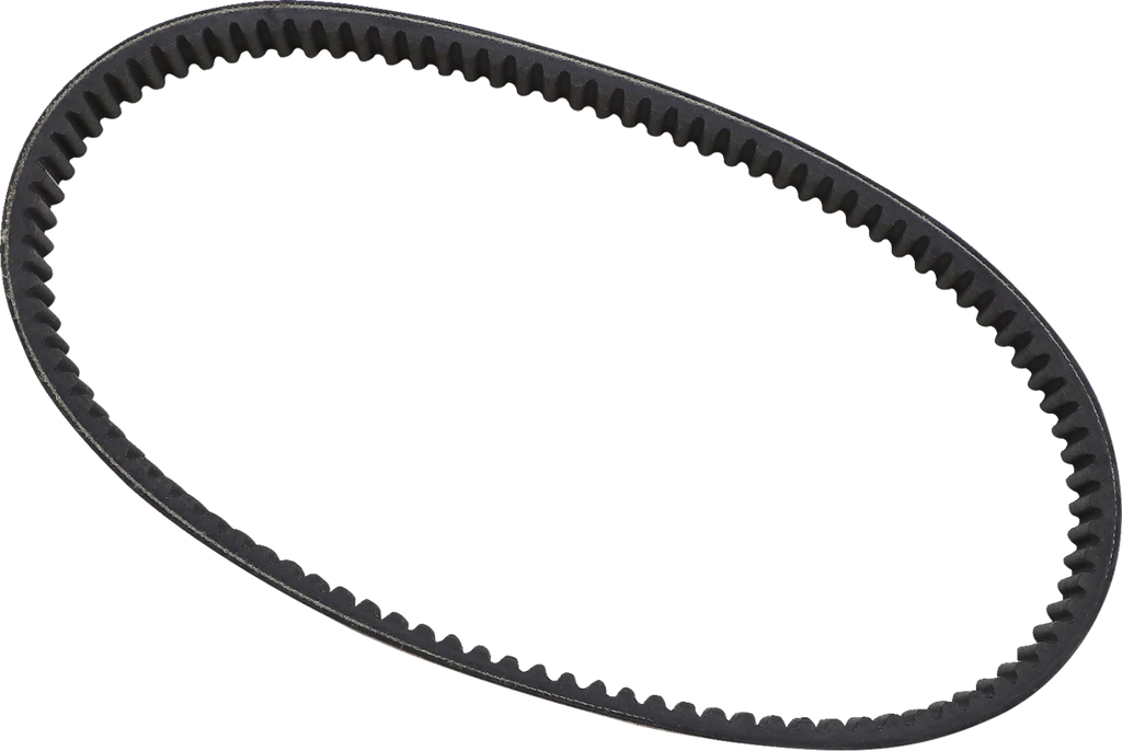 EPI Drive Belt WE262003