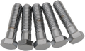 DRAG SPECIALTIES Bolts - Hex-Head - Chrome - 7/16"-14 x 1-3/4" MPB720