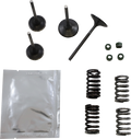 WISECO Valve Kit SVKB1403