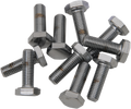 DRAG SPECIALTIES 1/4"-28 X 3/4 Chrome Hex Head MPB138