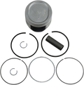 WSM Piston Kit 50-541-05K