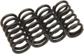 BARNETT Clutch Springs 501-66-04010