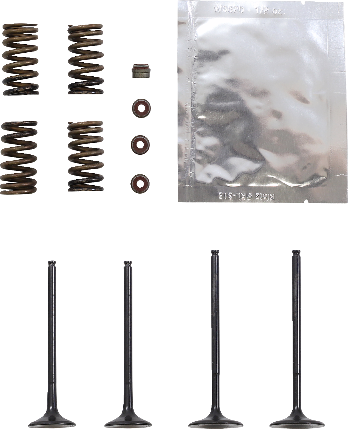 WISECO Valve Kit SVKB6329