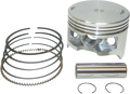 WSM Piston Kit - Honda 300 - +1 mm 50-223-07K