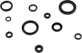 MOOSE RACING Engine Oil Seal Kit 822331MSE