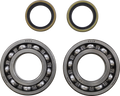 MOOSE RACING Crank Bearing and seal kit - Beta 24-1122