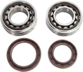 Hot Rods Crank Bearings K092