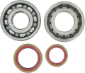 Hot Rods Crank Bearings K065