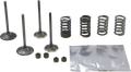 WISECO Valve Kit SVKB1404
