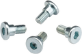 MOOSE RACING Rotor Bolts - Honda/TM 039-6A02
