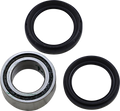 MOOSE RACING Wheel Bearing Kit - Rear 25-1480