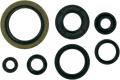 MOOSE RACING Motor Seals 822126MSE