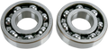 Hot Rods Crank Bearings K049