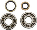Hot Rods Crank Bearings K006