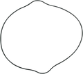 MOOSE RACING Clutch Cover Gasket 817507MSE