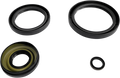 EPI Differential Seal Kit - Front WE290103
