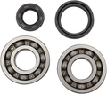 Hot Rods Crank Bearings K228