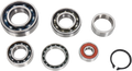 Hot Rods Transmission Bearings Kit TBK0102