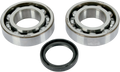 Hot Rods Crank Bearings K043