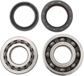 Hot Rods Crank Bearings K019