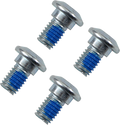 MOOSE RACING Rotor Bolts - Kawasaki/Suzuki 039-6A09