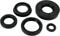 MOOSE RACING Motor Seals 822261MSE